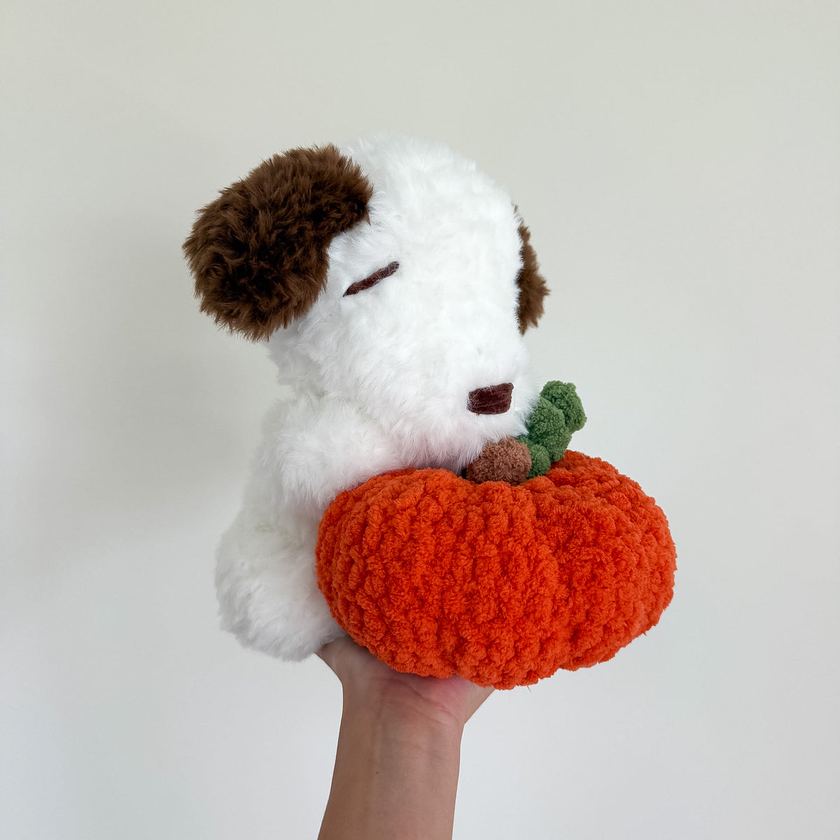 Fluffy Pumpkin Puppy