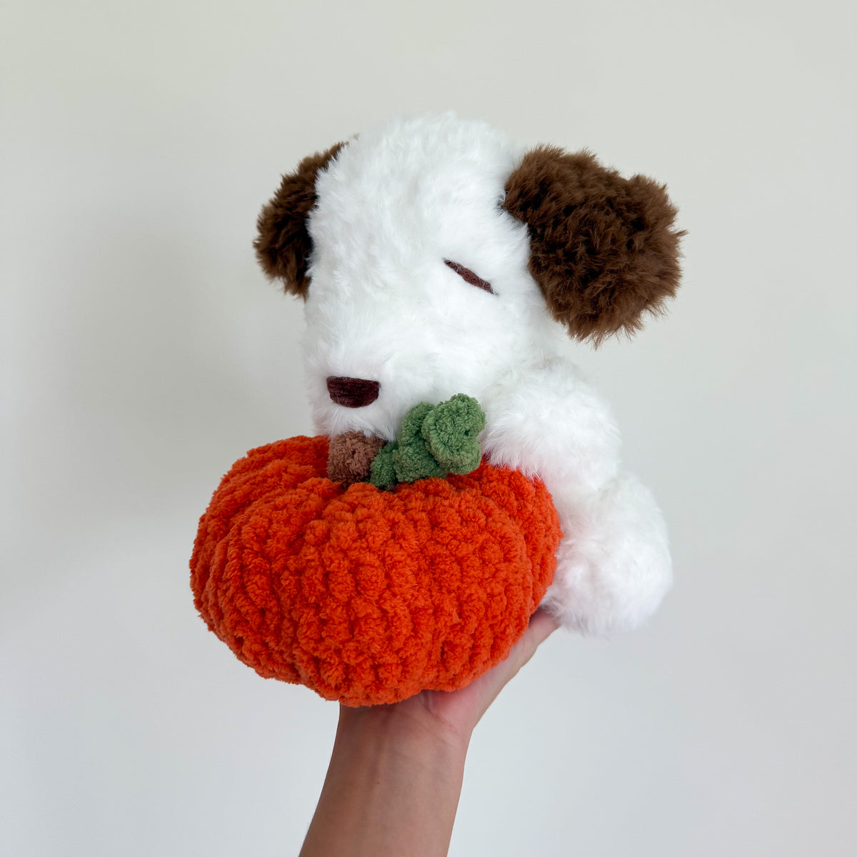 Fluffy Pumpkin Puppy